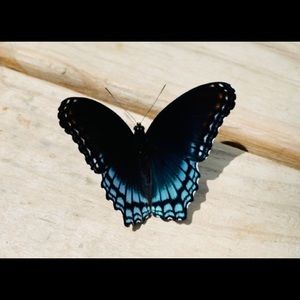 Meet your Posher, Douglas